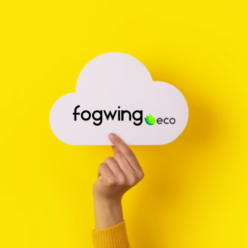 Fogwing Eco with Cloud Storage